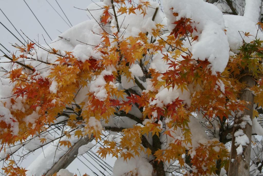 Akakura Wakui Hotel Myoko Ngoại thất bức ảnh